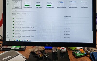 MONITOR LG E2060S
